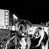 Duke is registered to the contest to win money with this photo: animal, black_and_white, camping_chair, casual, companionship, cup, dog, drink, friendship, happy, leash, night, outdoor, pet, portrait, relaxation, smile, table, trailer, woman
