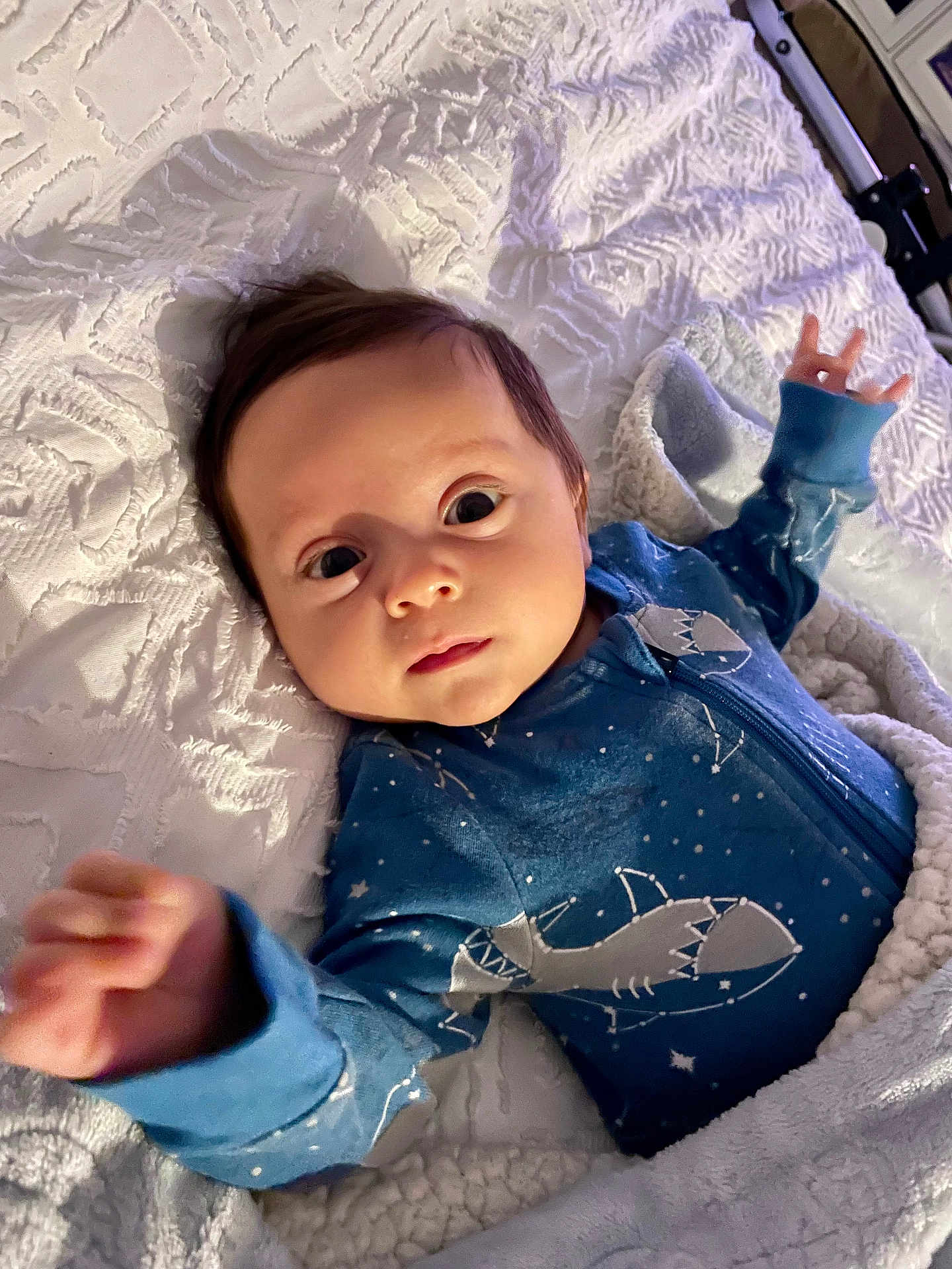 Davi is registered to the contest to win money with this photo: baby, infant, onesie, blue_clothing, shark_design, blanket, white_blanket, gray_blanket, face, hands, lying_down, bed, cute, portrait, indoor, soft_lighting, child, newborn, person, cozy
