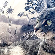 Kat participe au concours pour gagner de l'argent avec cette photo : cat, tabby_cat, close_up, green_eyes, whiskers, fur, portrait, animal, pet, indoor, relaxed, nature_background, plants, trees, monochrome, serene, soft_focus, profile_view, domestic_cat, feline