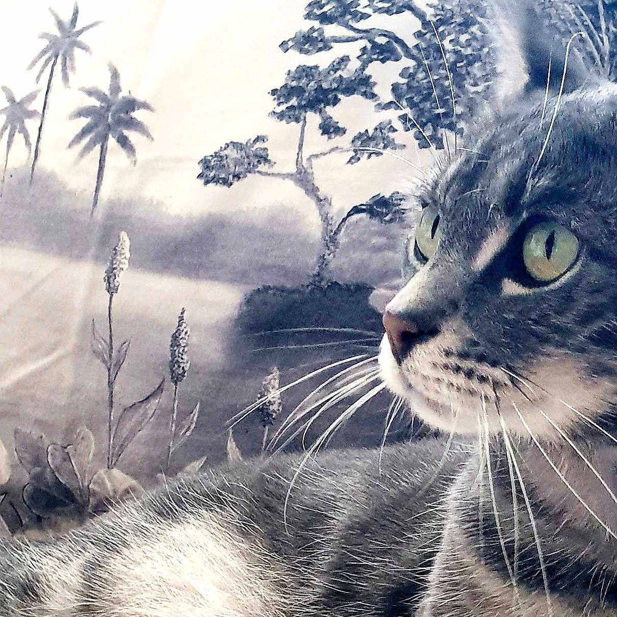 Kat participe au concours pour gagner de l'argent avec cette photo : animal, cat, close_up, domestic_cat, feline, fur, green_eyes, indoor, monochrome, nature_background, pet, plants, portrait, profile_view, relaxed, serene, soft_focus, tabby_cat, trees, whiskers