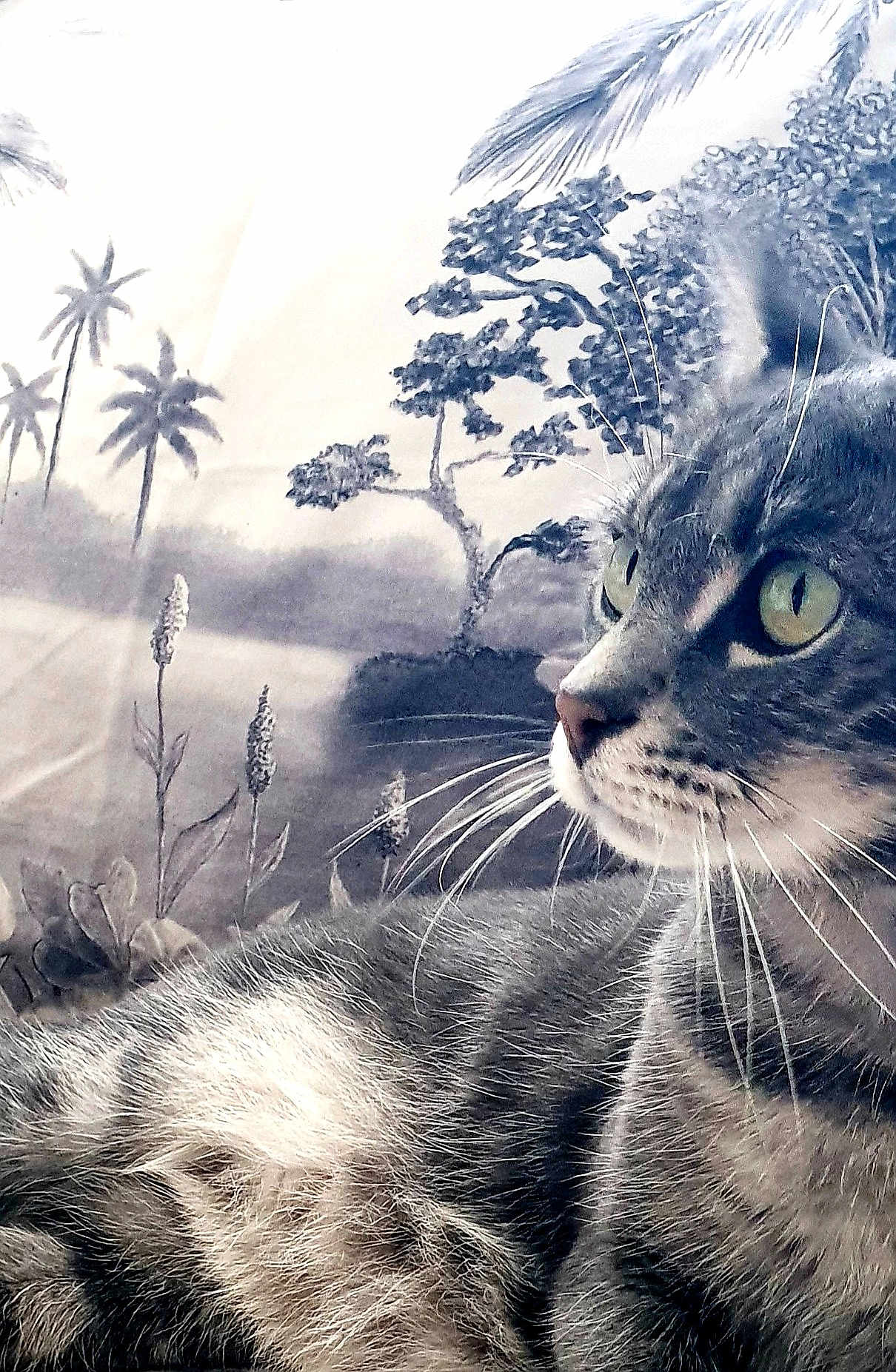 Kat participe au concours pour gagner de l'argent avec cette photo : cat, tabby_cat, close_up, green_eyes, whiskers, fur, portrait, animal, pet, indoor, relaxed, nature_background, plants, trees, monochrome, serene, soft_focus, profile_view, domestic_cat, feline