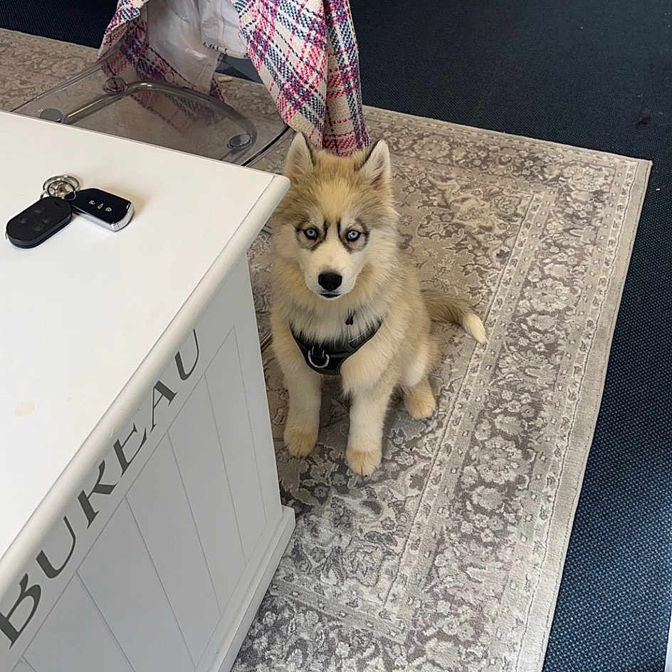 Max