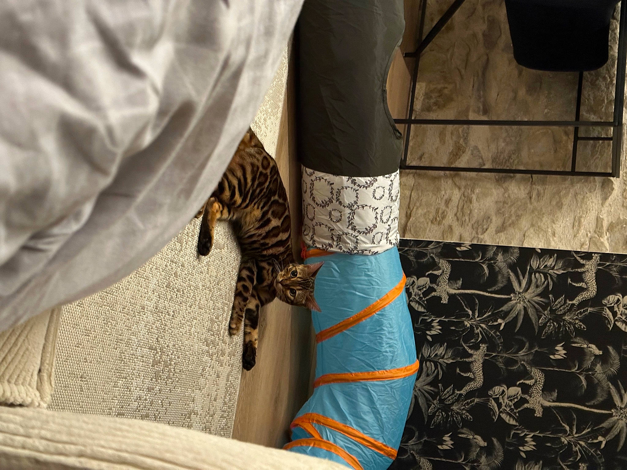 Tins a rejoint le concours — aidez-le/la à gagner de superbes lots ! art, fashion_accessory, fashion_design, feather, felidae, flooring, glove, human_leg, jewellery, linens, outerwear, pattern, room, sleeve, terrestrial_animal, textile, tradition, visual_arts, wood, wrist