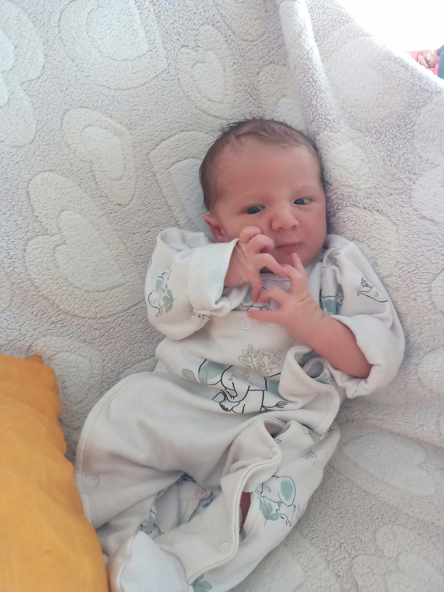 Hélios a rejoint le concours — aidez-le/la à gagner de superbes lots ! animal_print, baby, blanket, child, cozy, curious, cute, hand_gesture, heart_pattern, indoors, infant, lying_down, newborn, onesie, peaceful, pillow, portrait, sleepwear, soft_texture, yellow