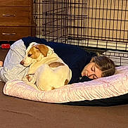 Lily is registered to the contest to win money with this photo: dog, person, sleeping, cuddle, dog_bed, pillow, blanket, crate, indoor, wooden_drawer, carpet, collar, cozy, nap, brown_and_white_dog, resting, face, pet, furniture, relaxed