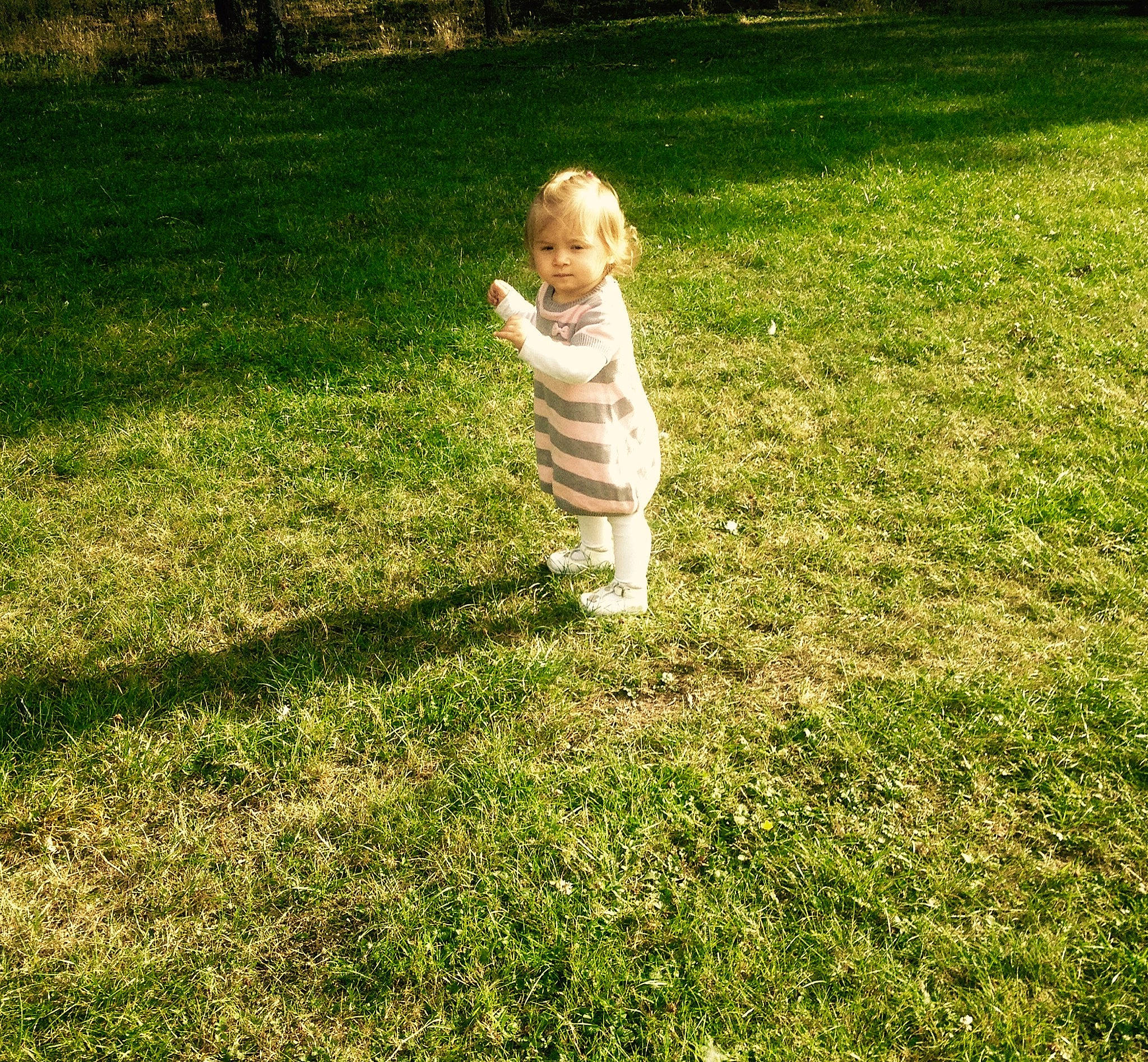 Lola a rejoint le concours — aidez-le/la à gagner de superbes lots ! child, garden, grass, grass_family, grassland, green, lawn, leaf, meadow, people_in_nature, person, plant, play, toddler, yard