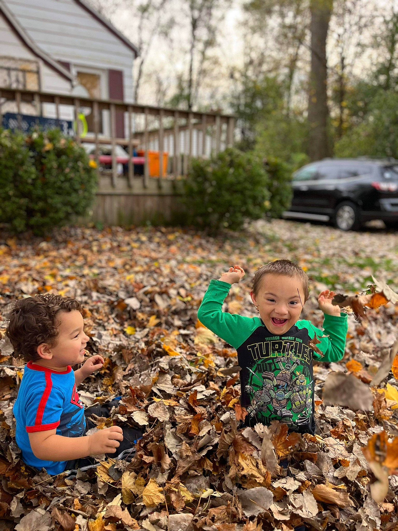 Jameson is registered to the contest to win money with this photo: adaptation, botany, car, child, fun, grass, happy, landscape, leisure, people_in_nature, person, plant, recreation, road, sitting, soil, t_shirt, toddler, tree, wilderness