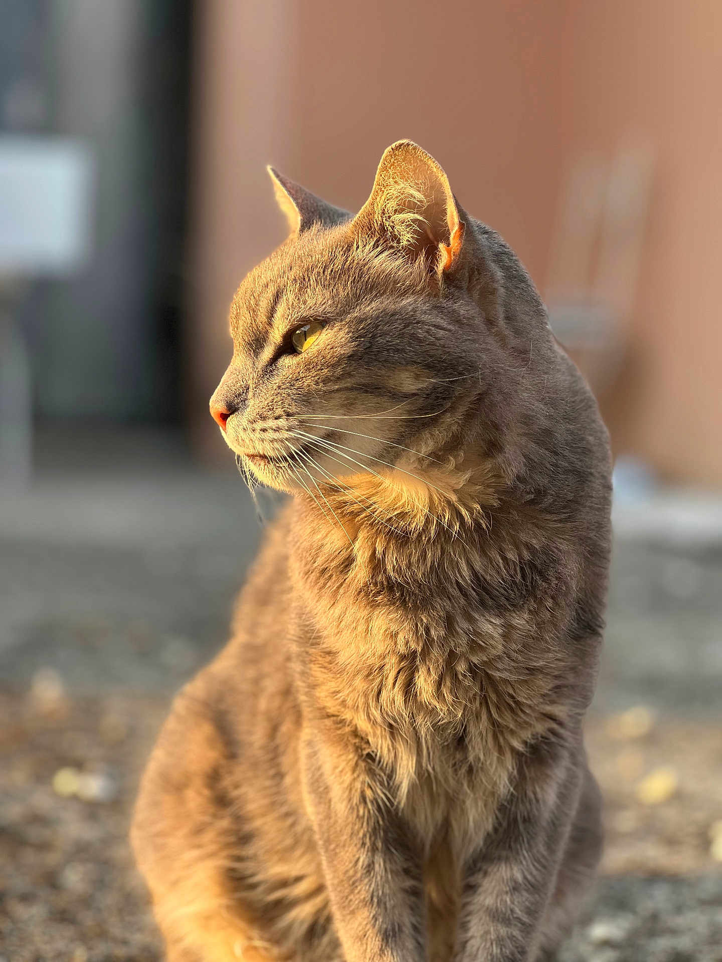 Zeus