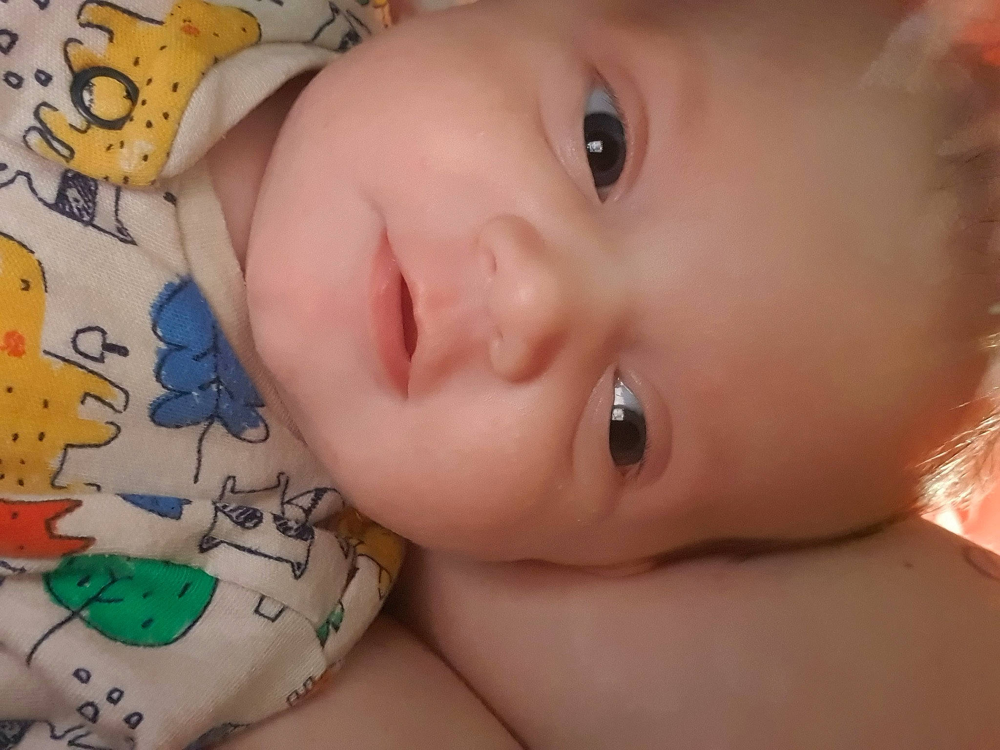 Chelsea is registered to the contest to win money with this photo: baby, beauty, cheek, child, chin, close_up, ear, eye, eyebrow, face, forehead, head, iris, lip, mouth, neck, nose, organ, person, skin