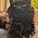 Binx