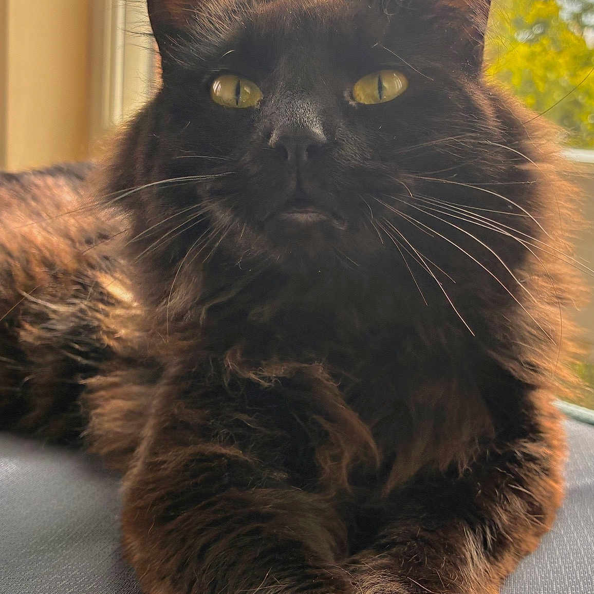 Binx