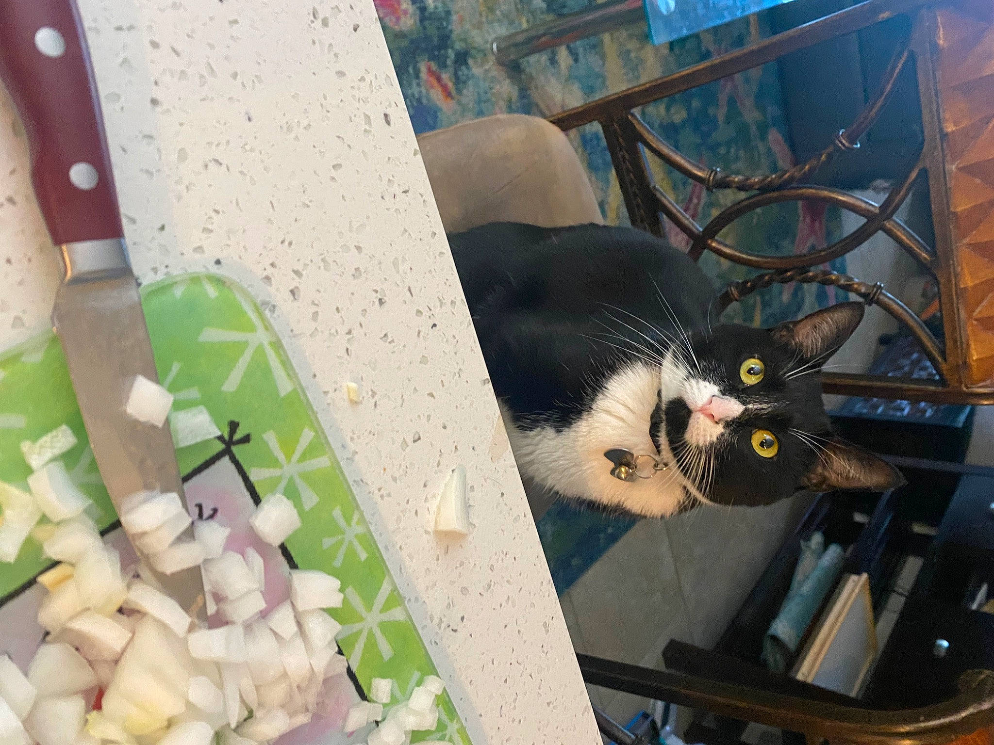 Tux is registered to the contest to win money with this photo: automotive_exterior, automotive_lighting, cage, carnivore, cat, domestic_short_haired_cat, felidae, fur, hood, mammal, motor_vehicle, pattern, petal, room, small_to_medium_sized_cats, tail, tree, vertebrate, whiskers