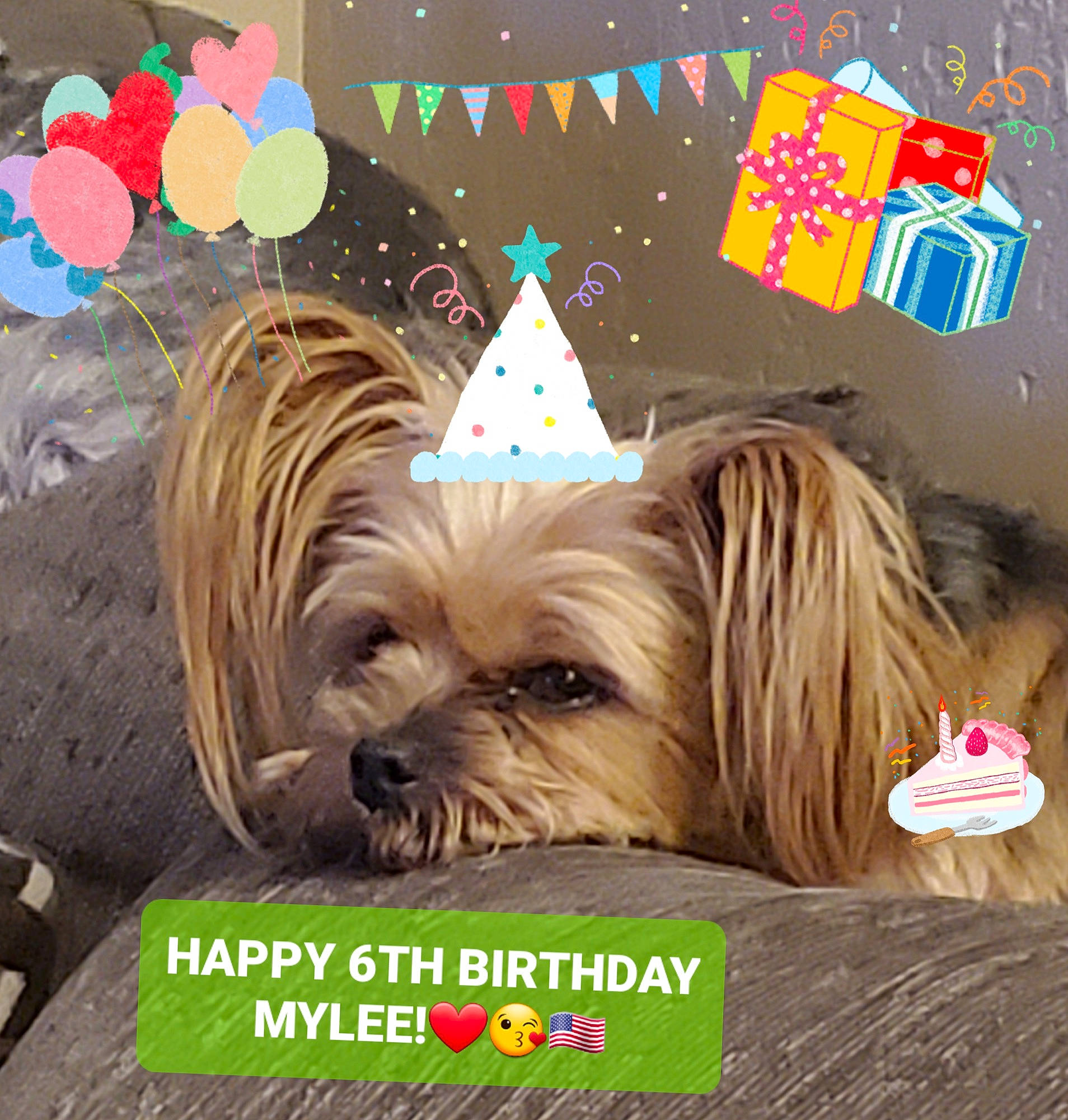 Mylee joined the competition — help win amazing prizes! canidae, carnivore, companion_dog, dog, dog_breed, dog_supply, fawn, fictional_character, font, fur, graphics, liver, mammal, photo_caption, snout, sporting_group, toy_dog, vertebrate, wood, working_animal