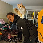 Sucette participe au concours pour gagner de l'argent avec cette photo : carpet, casual, cat, clothing, clutter, cozy, furniture, home, human, indoor, living_room, orange_cat, person, pet, playful, shoulder, sitting, sweatshirt, white_cat, window