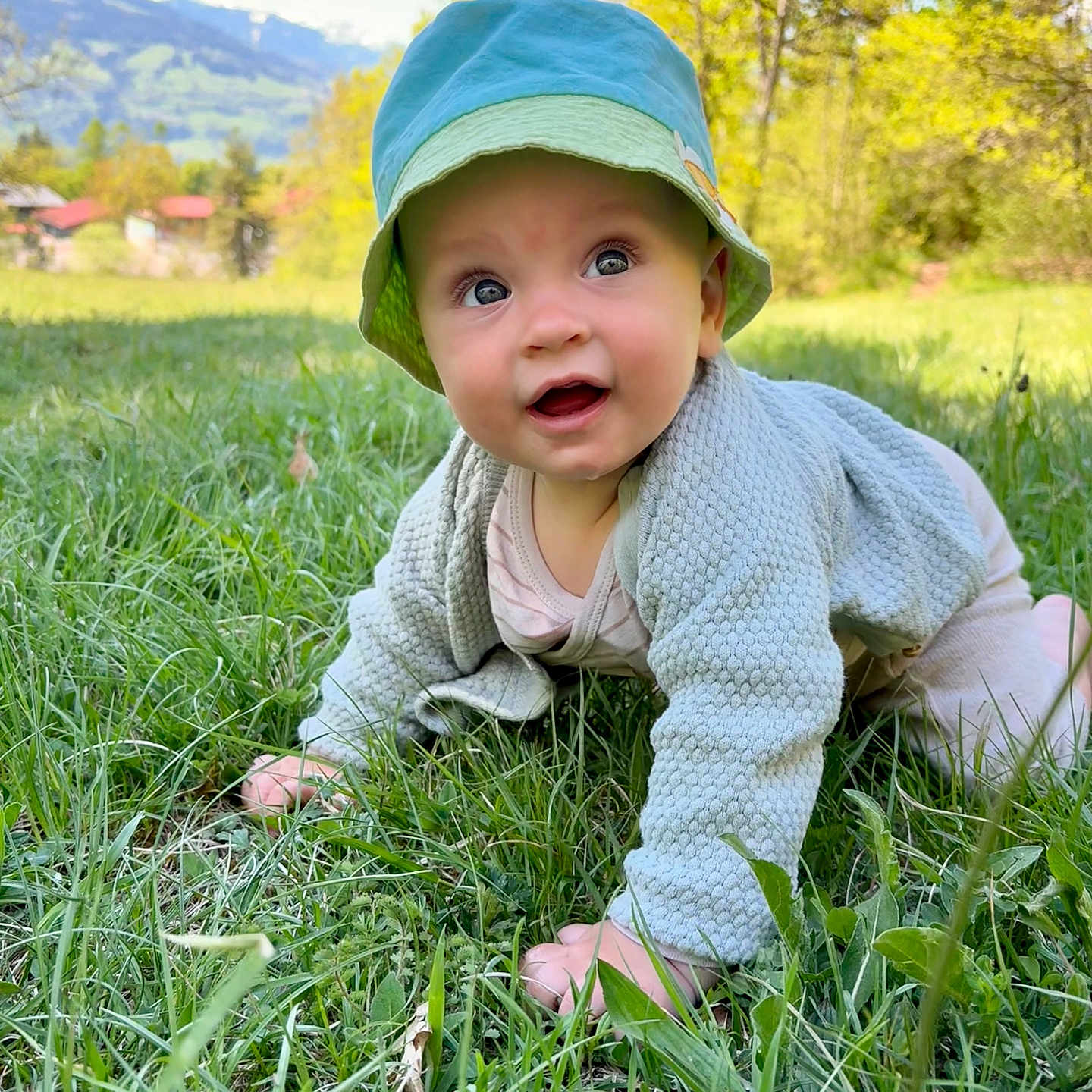 Félix participe au concours pour gagner de l'argent avec cette photo : baby, child, crawling, cute, daytime, grass, greenery, happy, hat, infant, mountains, nature, outdoor, person, portrait, sky, spring, sunlight, sweater, trees