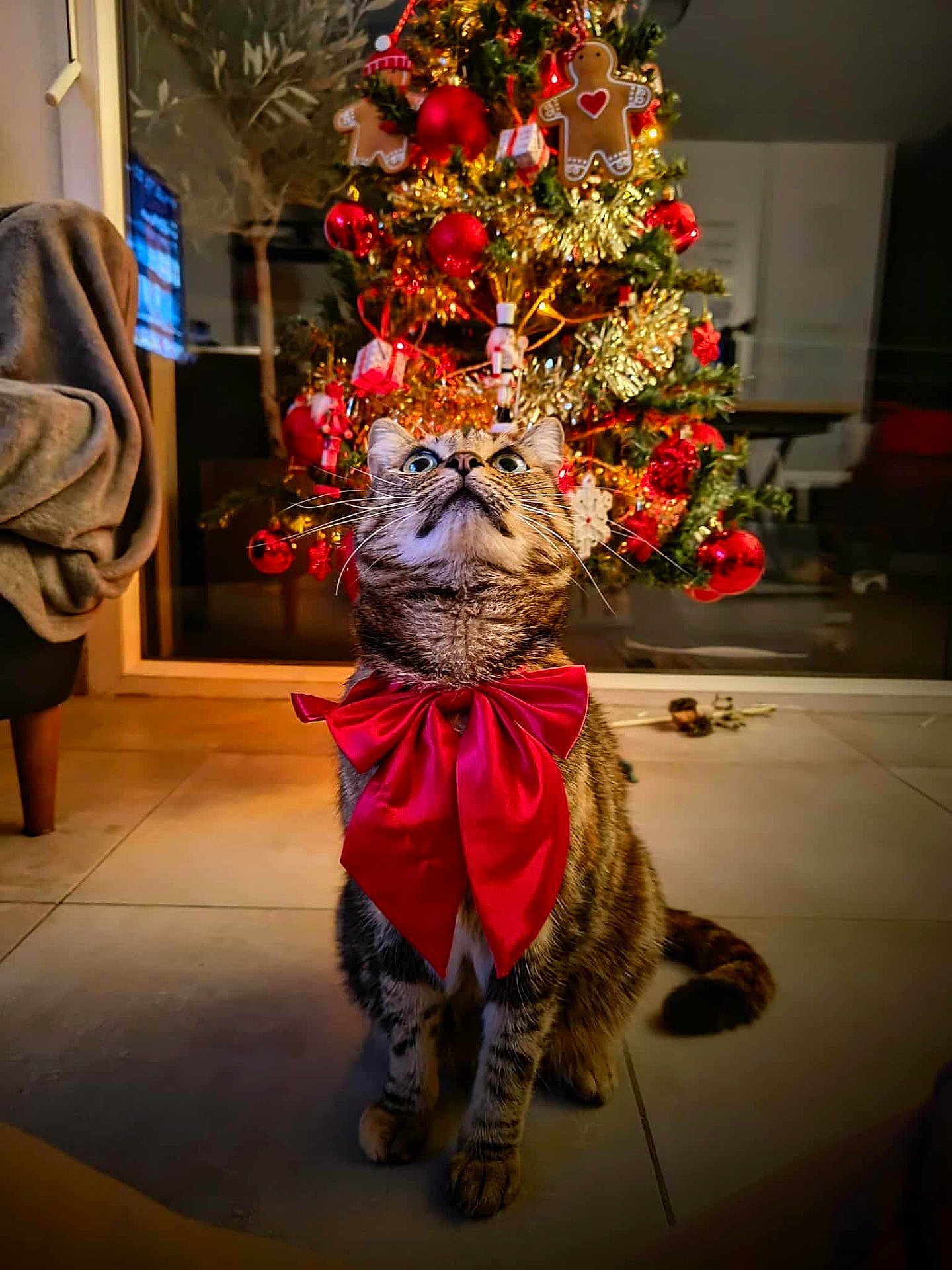 Nala