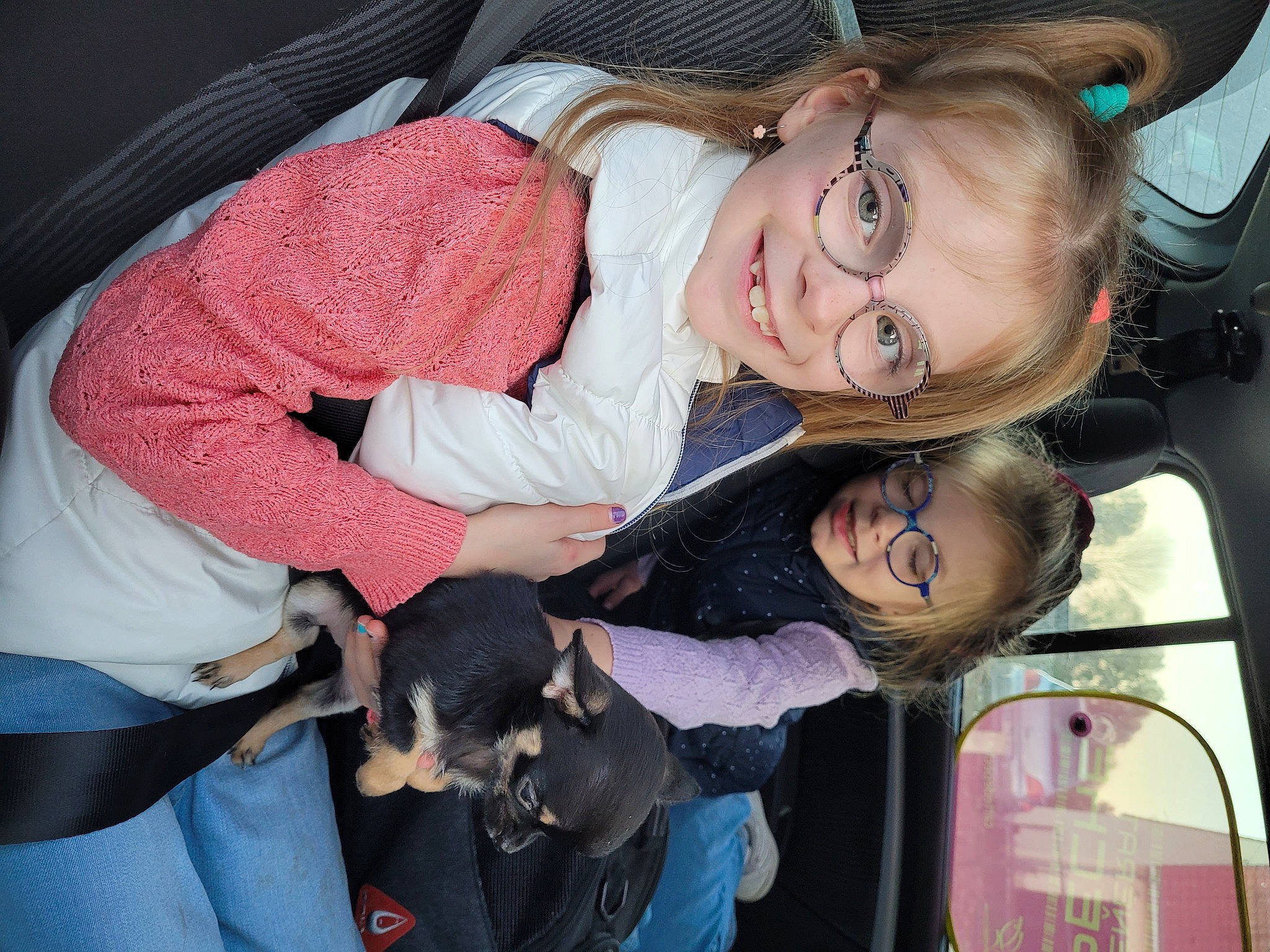Kelya Et Celyana participe au concours pour gagner de l'argent avec cette photo : baby_products, car_seat, carnivore, child, comfort, companion_dog, dog, dog_breed, event, eyewear, fun, fur, happy, joy, lap, organ, person, sitting, skin, smile