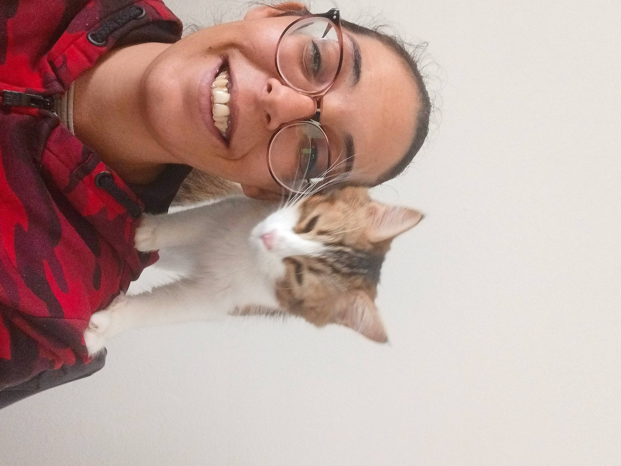 Chachat a rejoint le concours — aidez-le/la à gagner de superbes lots ! carnivore, cat, comfort, domestic_short_haired_cat, eyewear, facial_hair, fawn, felidae, fur, gesture, happy, jaw, moustache, mouth, paw, small_to_medium_sized_cats, smile, snout, vision_care, whiskers