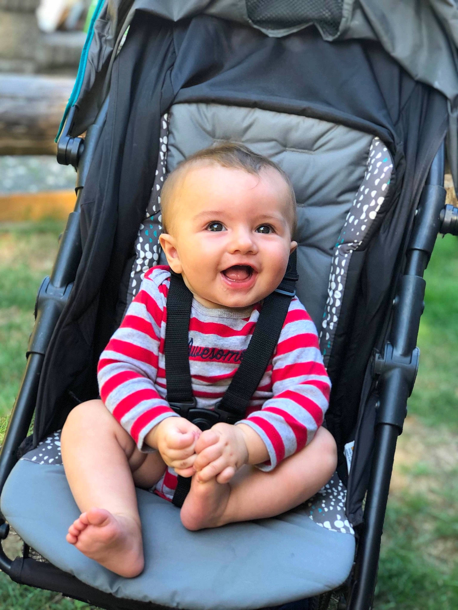 Jaxston is registered to the contest to win money with this photo: baby, baby_carriage, baby_carrier, baby_products, child, grass, leisure, person, plant, product, sitting, skin, smile, summer, toddler, tree, vacation
