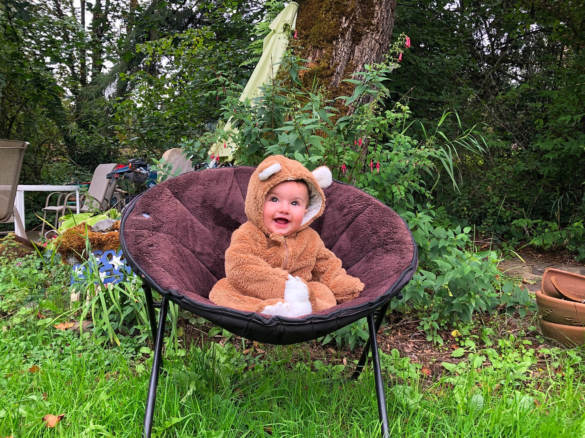 Jaxston joined the competition — help win amazing prizes! botany, furniture, garden, grass, headwear, leisure, person, plant, sitting, table, tree, yard