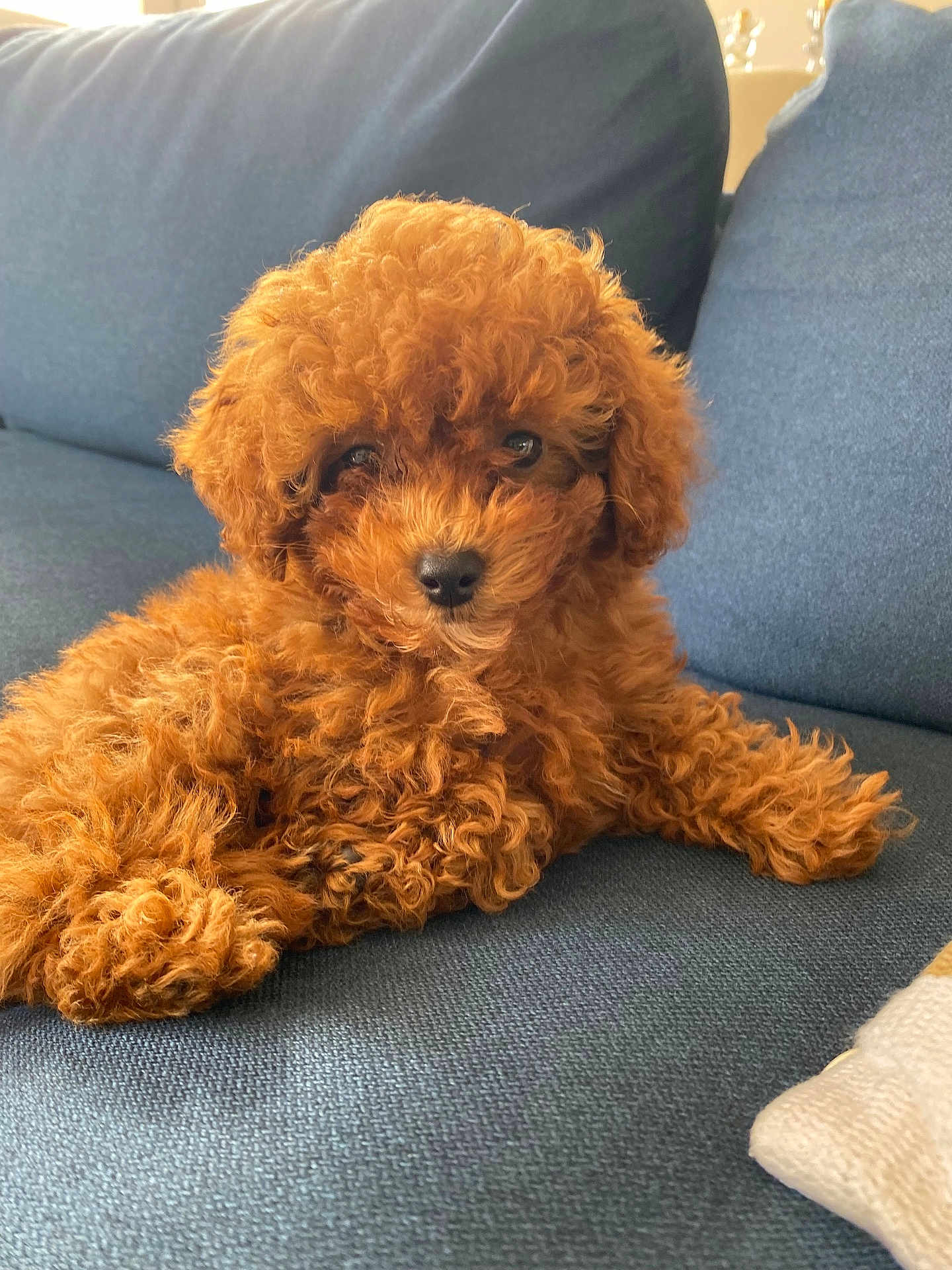 Milo