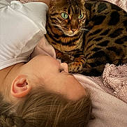 Sherkan participe au concours pour gagner de l'argent avec cette photo : cat, bengal_cat, green_eyes, child, person, bed, blanket, pillow, braid, fur, whiskers, striped_pattern, cozy, cuddle, resting, portrait, indoor, close_up, sleepy, pet