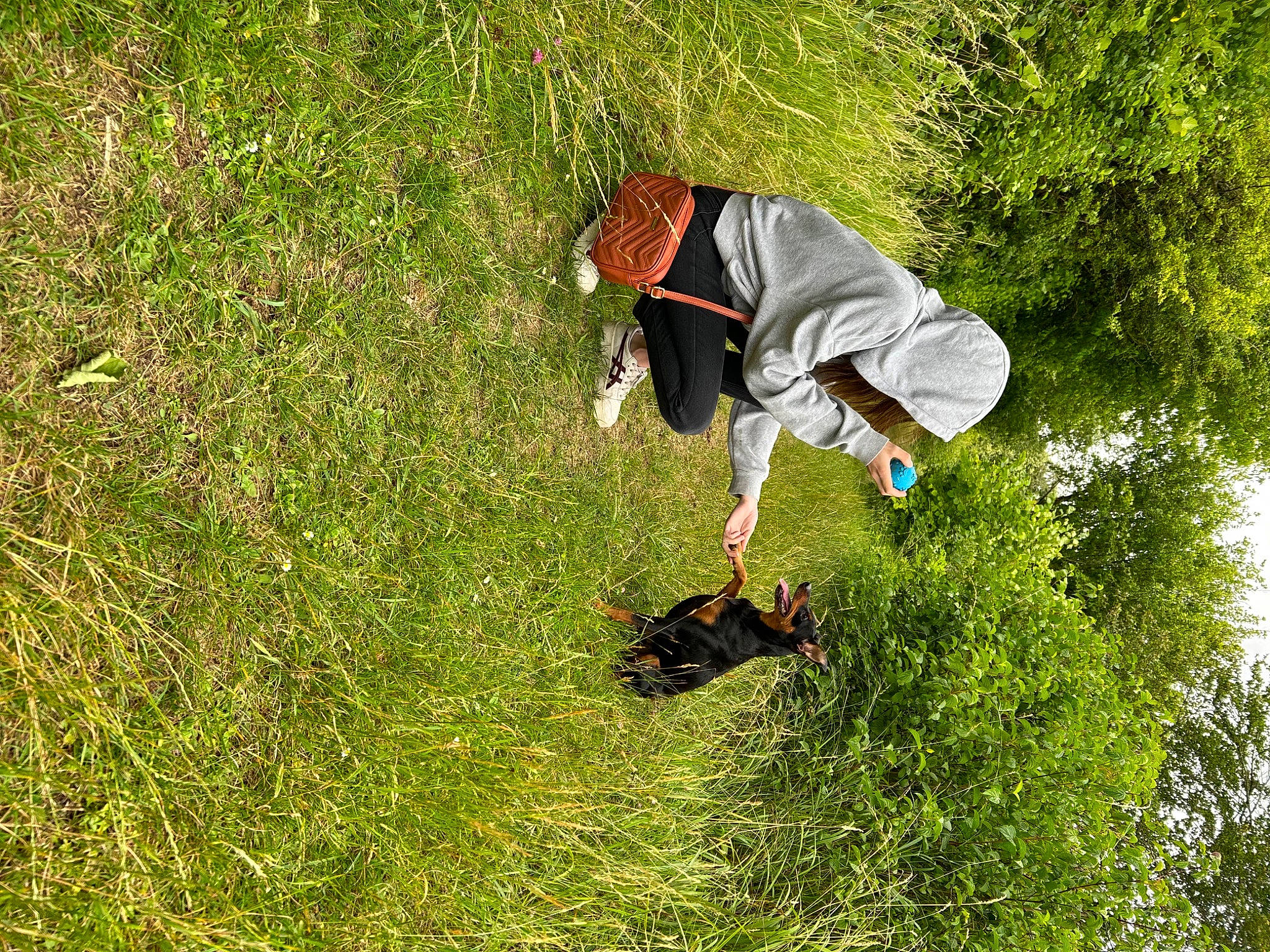 Paco a rejoint le concours — aidez-le/la à gagner de superbes lots ! adventure, beak, canidae, extreme_sport, field, grass, grass_family, grassland, hunting_dog, jumping, leisure, pasture, people_in_nature, plant, prairie, recreation, soil, sporting_group, tree