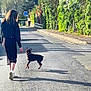 Paco a rejoint le concours — aidez-le/la à gagner de superbes lots ! black_dress, casual, daylight, dog, greenery, hedges, leisure, nature, outdoor, pavement, pet, playful, shadow, sidewalk, small_dog, street, sunlight, trees, walking, woman