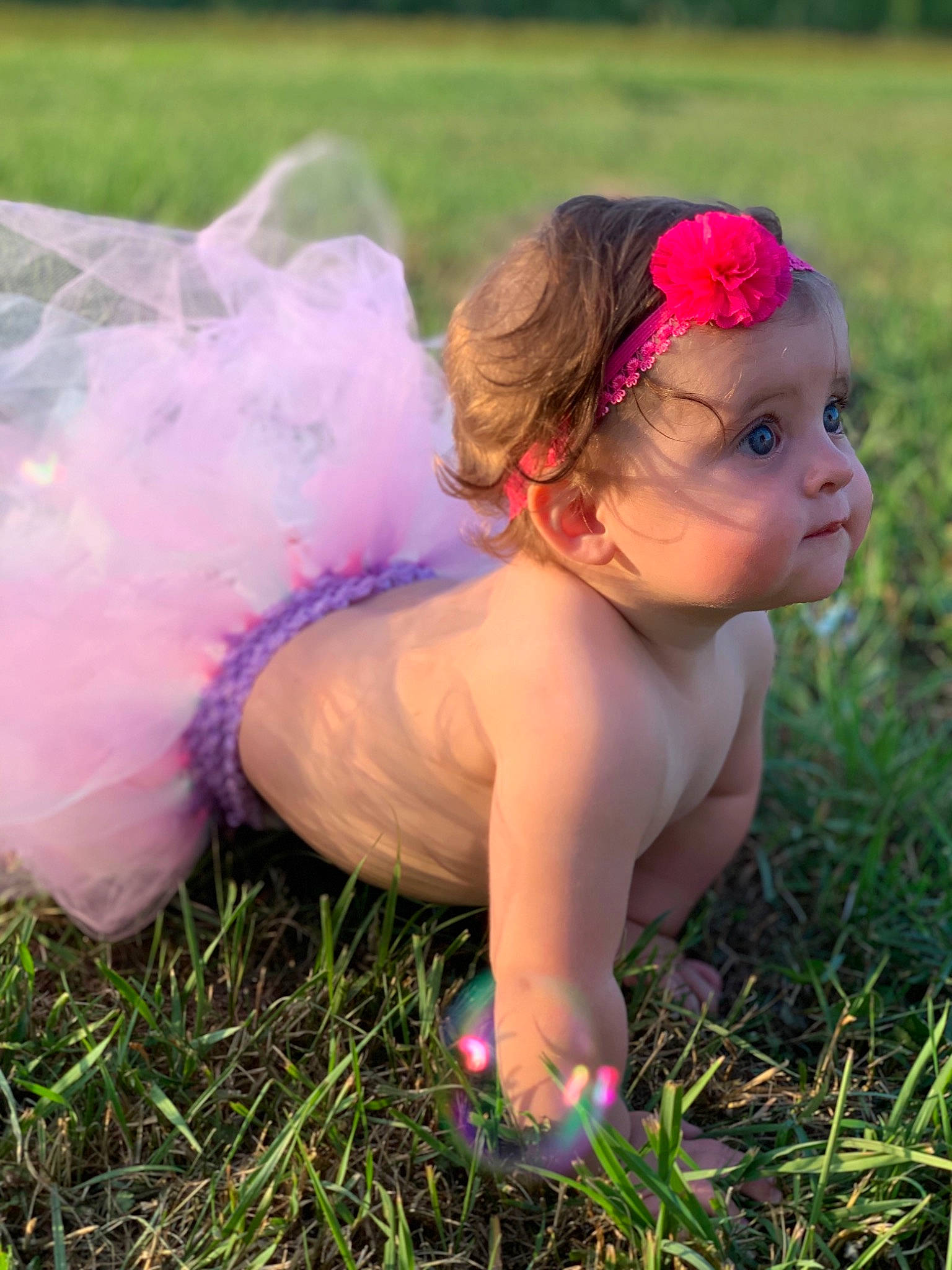 Macie is registered to the contest to win money with this photo: baby, baby_toddler_clothing, child, costume, flower, grass, hair_accessory, person, pink, plant, toddler