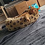 bedroom, blanket, cardboard_boxes, cat, cozy, cute, domestic_cat, fur, furniture, indoor, orange_tabby, paw_prints, paws, pet_bed, relaxed, resting, sleepy, soft_texture, television, whiskers