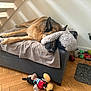 german_shepherd, dog, sleeping, ottoman, blanket, towel, dog_toys, stuffed_toy, wood_floor, stairs, water_bowl, indoor, pet, resting, cozy, home, fur, paw, toy