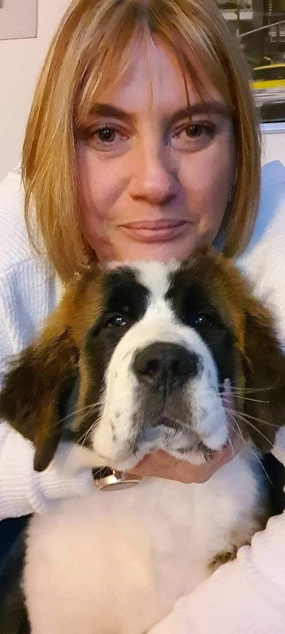 Gaïa participe au concours pour gagner de l'argent avec cette photo : carnivore, companion_dog, dog, dog_breed, ear, eye, eyelash, fawn, formal_wear, fur, giant_dog_breed, hair, happy, puppy_love, selfie, smile, snout, suit, whiskers, working_animal