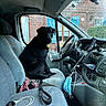 Shadow participe au concours pour gagner de l'argent avec cette photo : dog, black_dog, car_interior, driver_seat, steering_wheel, face_mask, window, brick_wall, blue_shutters, seat, seatbelt, gear_shift, dashboard, cable, phone_holder, side_mirror, calm, pet, leash, daylight