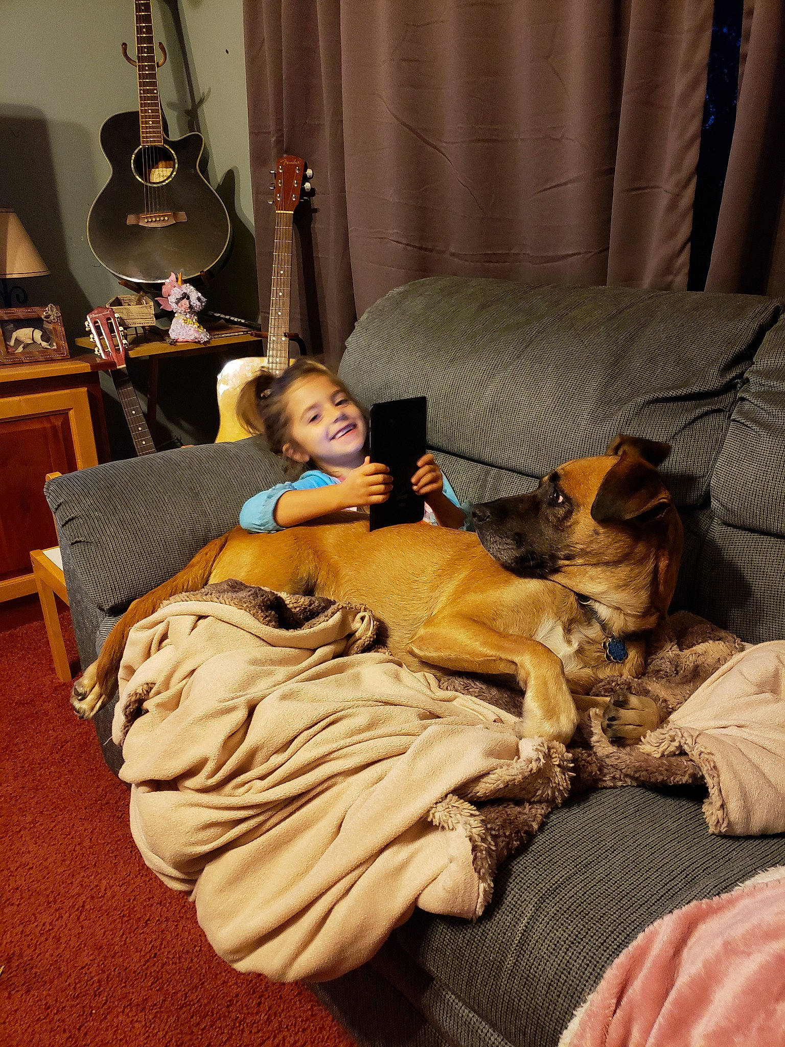 Cora Lee is registered to the contest to win money with this photo: bedtime, canidae, carnivore, comfort, companion_dog, couch, dog, fawn, furniture, joy, person, room, sitting, sporting_group