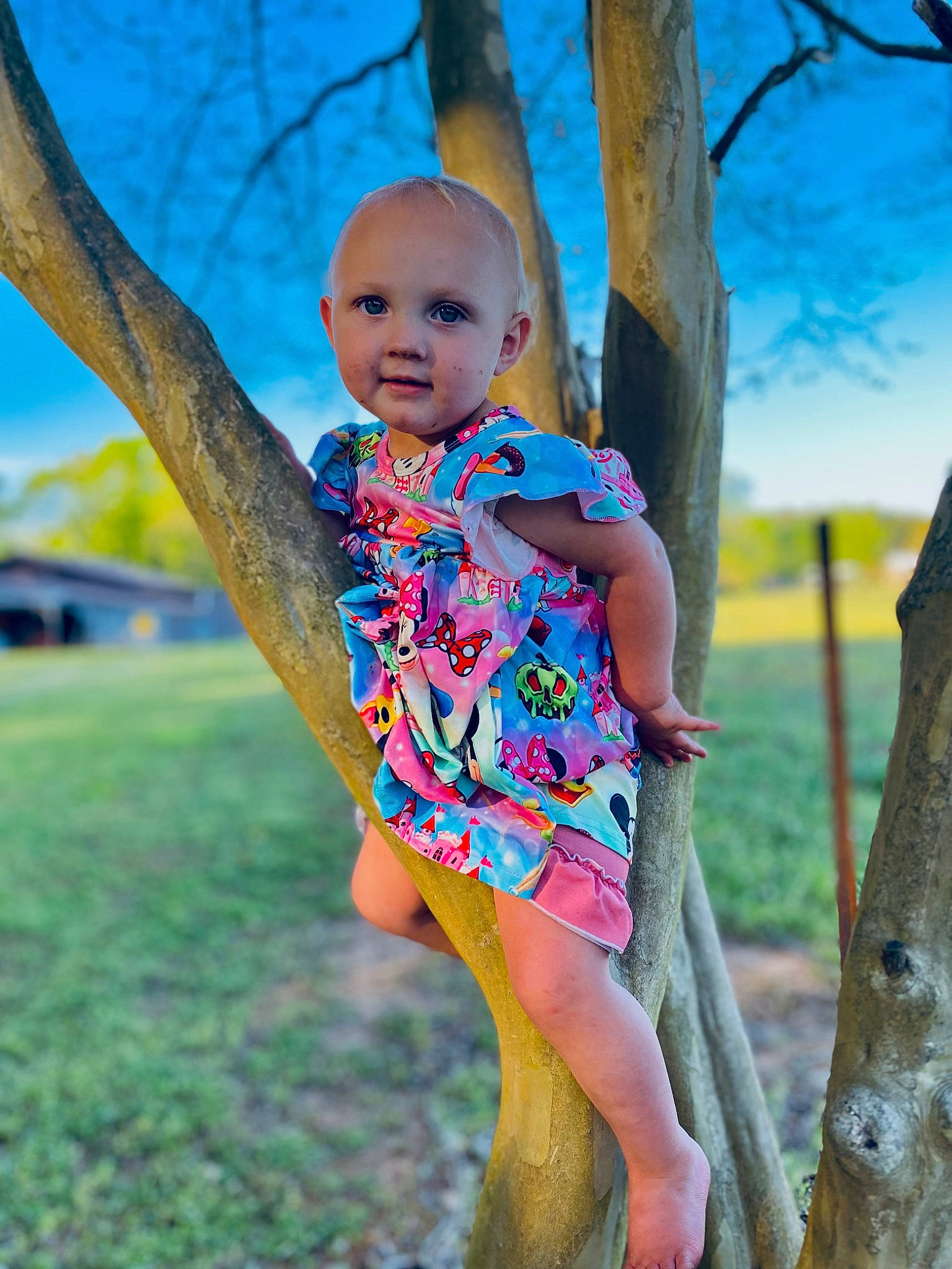 Kiley is registered to the contest to win money with this photo: azure, baby_toddler_clothing, cloud, facial_expression, fun, grass, hairstyle, happy, leaf, leisure, people_in_nature, person, plant, public_space, skin, sky, standing, sunlight, toddler, tree