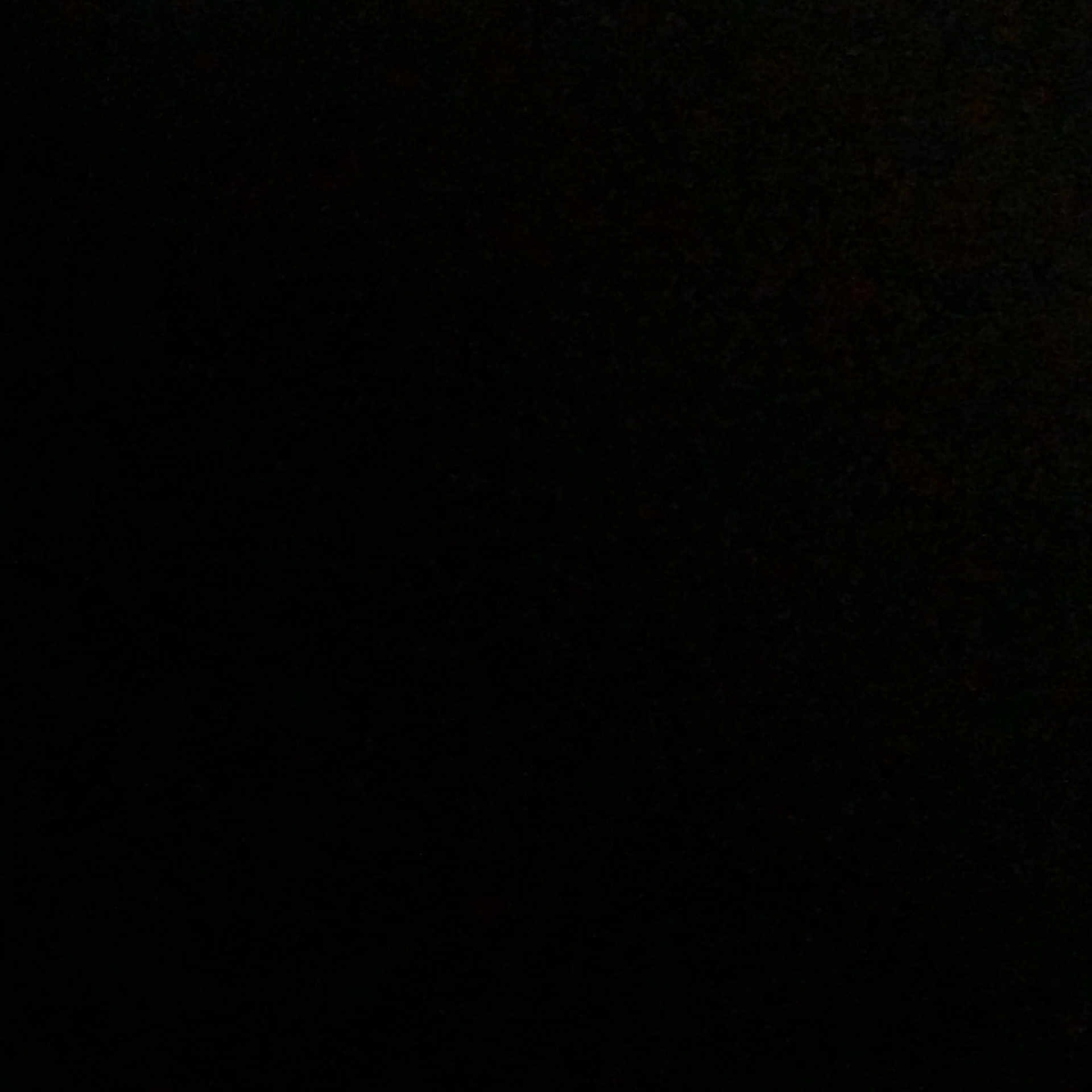 Bruno joined the competition — help win amazing prizes! darkness, grey