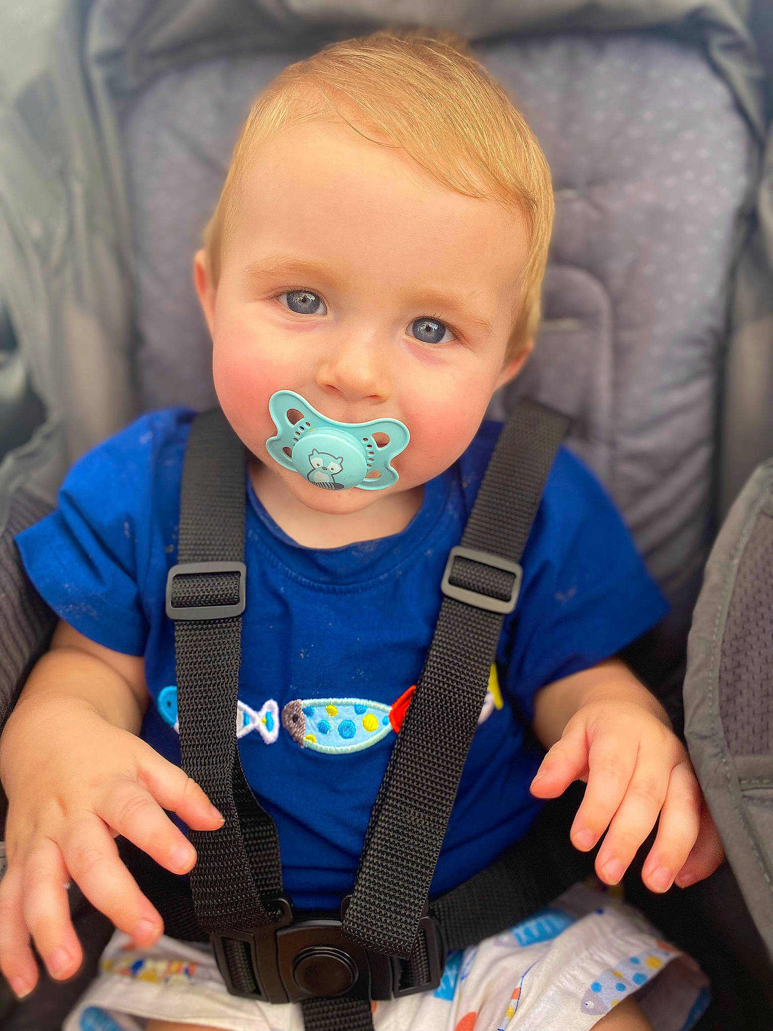 Collson is registered to the contest to win money with this photo: azure, baby, baby_carriage, baby_products, baby_toddler_clothing, cheek, comfort, electric_blue, eyebrow, face, facial_expression, finger, happy, iris, mouth, person, product, seat_belt, skin, sleeve