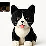 animal, black_and_white_cat, black_cat, cat, close_up, cute, eyes, face, feline, inset_photo, pet, plush_toy, real_cat, soft, stuffed_animal, tongue_out, toy, whiskers, white_background, white_cat