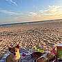 dog, beach, sand, ocean, sky, clouds, sunset, towel, snacks, bread, plastic_cup, toy, picnic, outdoor, pet, small_dog, relaxing, food, water_bottle, sunlight