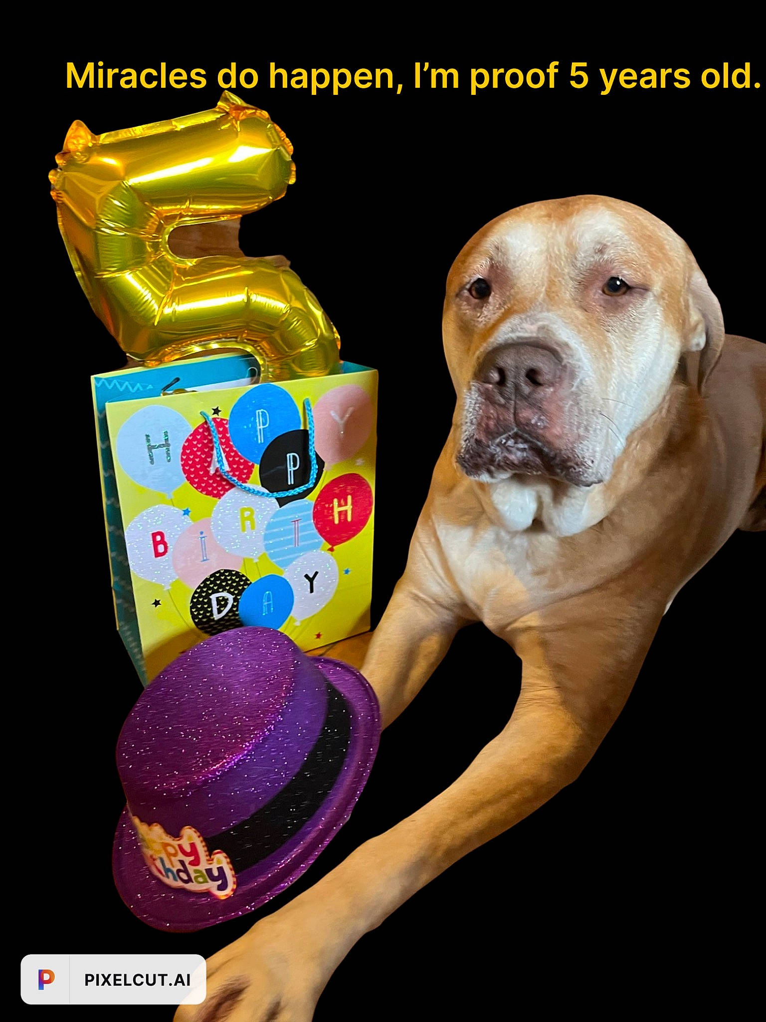 Damien joined the competition — help win amazing prizes! ancient_dog_breeds, bottle, canidae, cap, carnivore, companion_dog, dog, dog_breed, dog_supply, fashion_accessory, fawn, kitchen_appliance, magenta, pet_supply, photo_caption, plastic, plastic_bottle, snout, sporting_group, working_animal