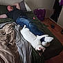 Maui joined the competition — help win amazing prizes! bed, black_shirt, blanket, casual, cat, closet, fan, floor, home, indoor, jeans, man, pet, relaxing, resting, room, sleeping, slippers, socks, wood_floor