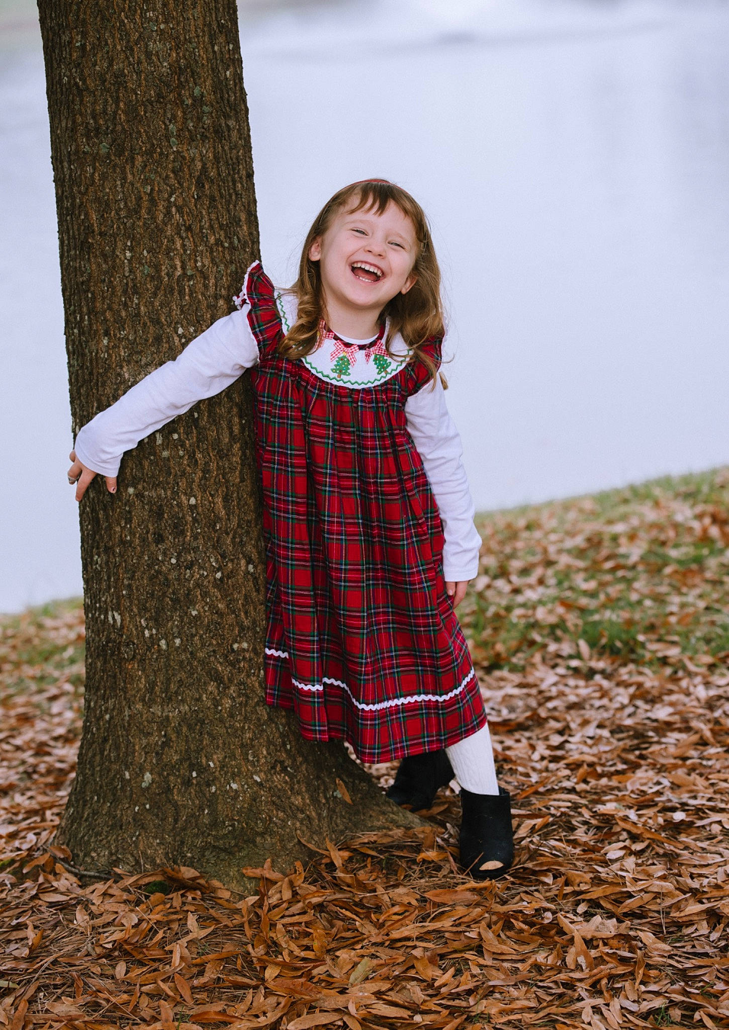 Lauren is registered to the contest to win money with this photo: autumn, baby_toddler_clothing, brown_hair, child_model, day_dress, deciduous, face, happy, joy, long_hair, pattern, people_in_nature, person, photo_shoot, plaid, portrait_photography, sleeve, spring, tartan, trunk