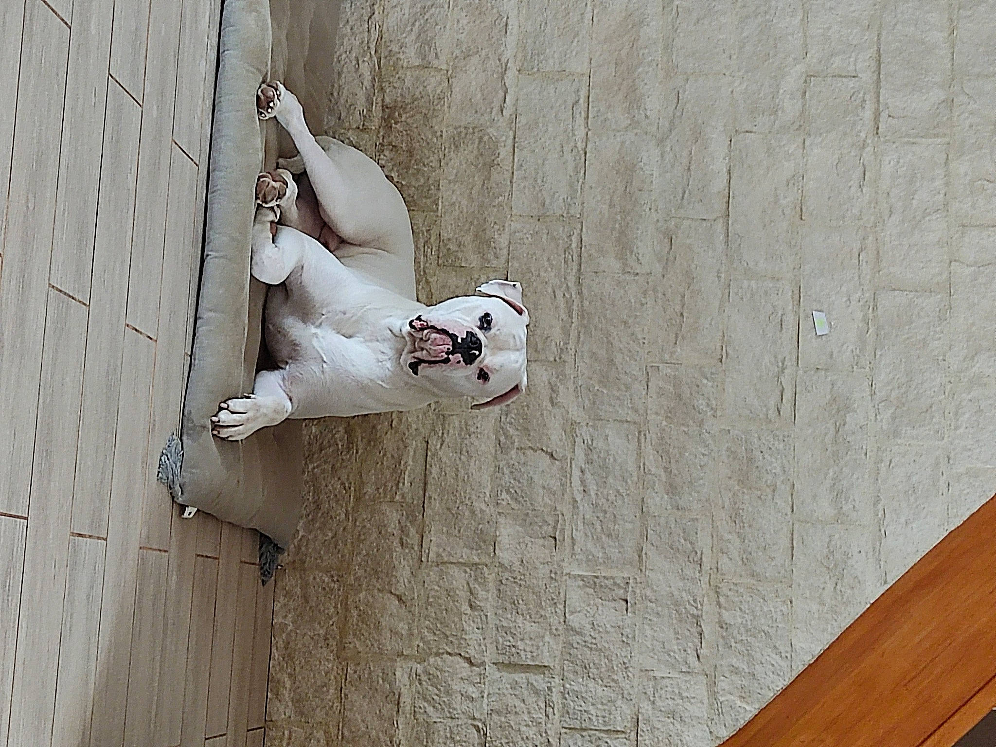 Pablo a rejoint le concours — aidez-le/la à gagner de superbes lots ! art, concrete, elbow, facade, flooring, foot, grey, hardwood, human_leg, knee, plaster, recreation, shadow, sitting, sport_climbing, street_fashion, thigh, waist, wall, wood