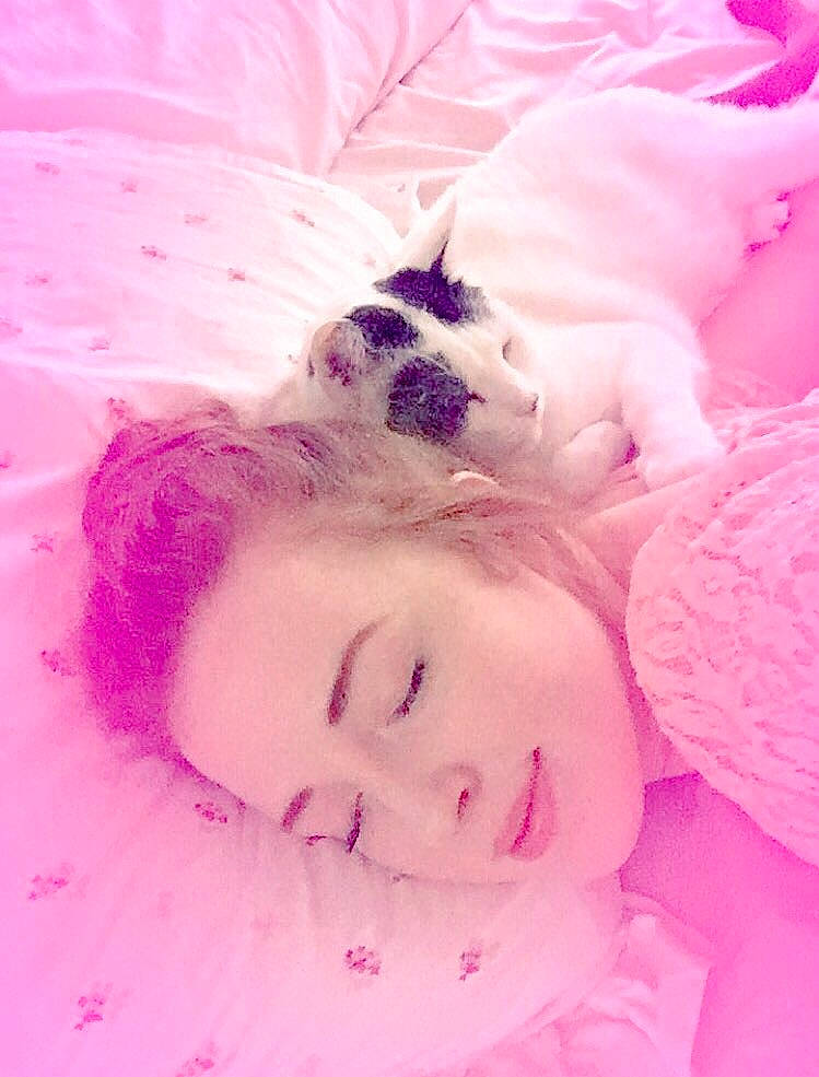 Cow joined the competition — help win amazing prizes! child, comfort, companion_dog, eyelash, fur, happy, linens, lip, magenta, nap, petal, pink, plant, purple, skin, smile, textile, toy, tree, violet