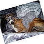 animal, blanket, brindle_coat, canine, comfortable, cozy, dog, domestic, ears_up, fur, furry, gray, home, indoor, laying_down, looking_at_camera, pet, relaxed, resting, snout