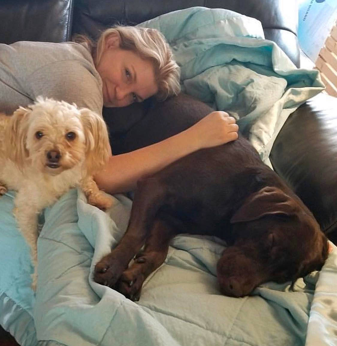 Ted is registered to the contest to win money with this photo: briquet_griffon_vendeen, canidae, carnivore, comfort, companion_dog, dog, dog_breed, human, interaction, liver, love, maltepoo, mammal, puppy_love, sleep, small_terrier, terrier, toy_dog, vertebrate, working_animal