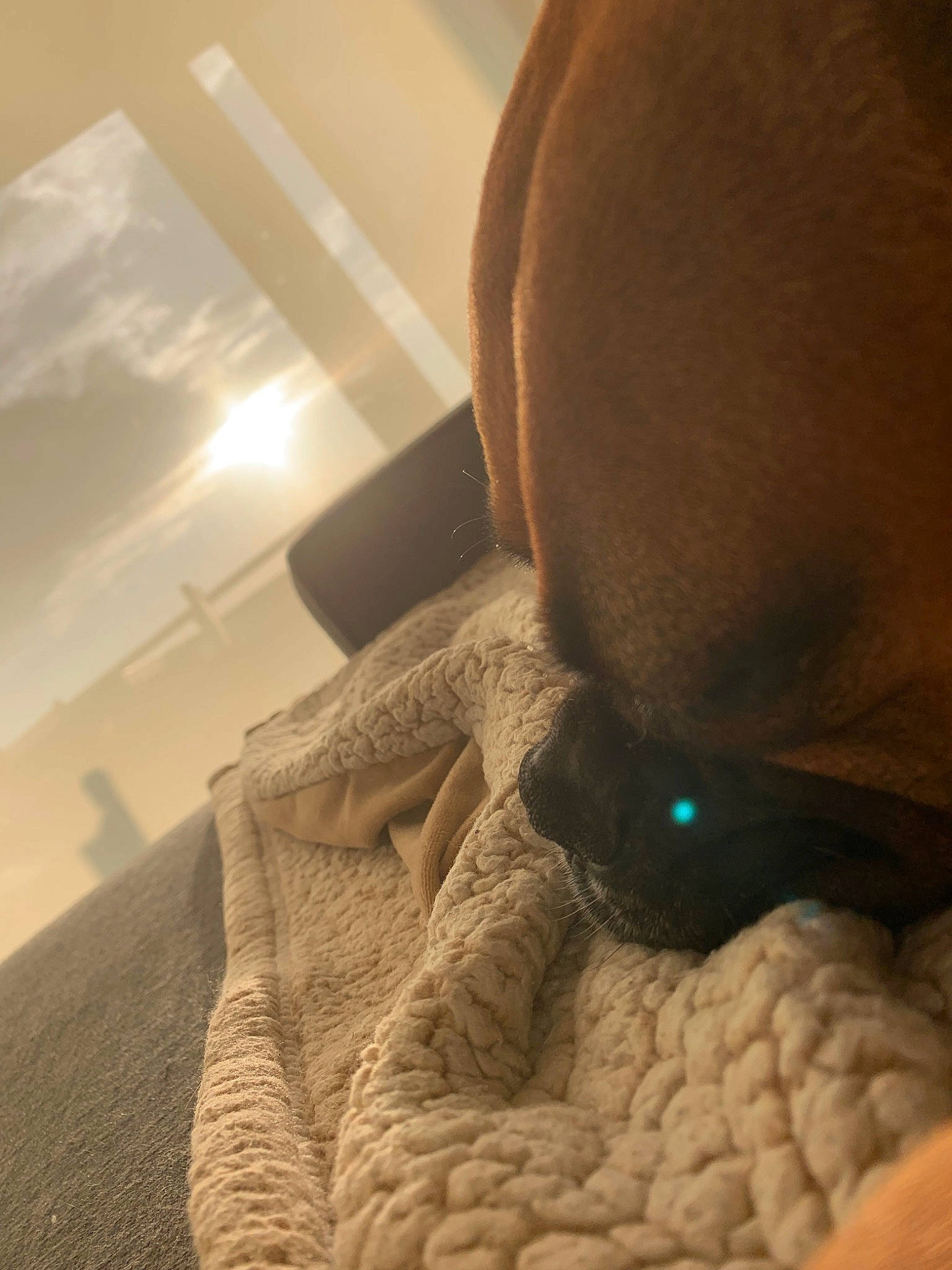 Twitter is registered to the contest to win money with this photo: baby, child, ear, eye, neck, nose, photography, room, selfie, skin, textile, toddler