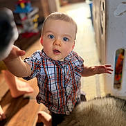 Livio participe au concours pour gagner de l'argent avec cette photo : animal, baby, barefoot, blue_eyes, candid, child, curious, dog, flooring, home, indoor, person, pet, plaid_shirt, reaching_hand, shirt, soft_light, toddler, wooden_floor, young