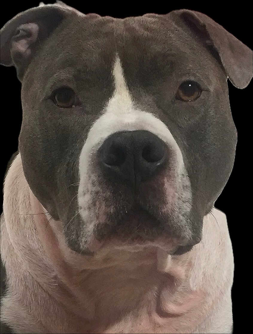 Bubba