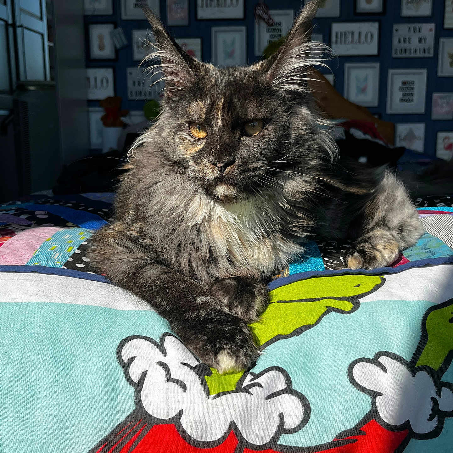 Luna
